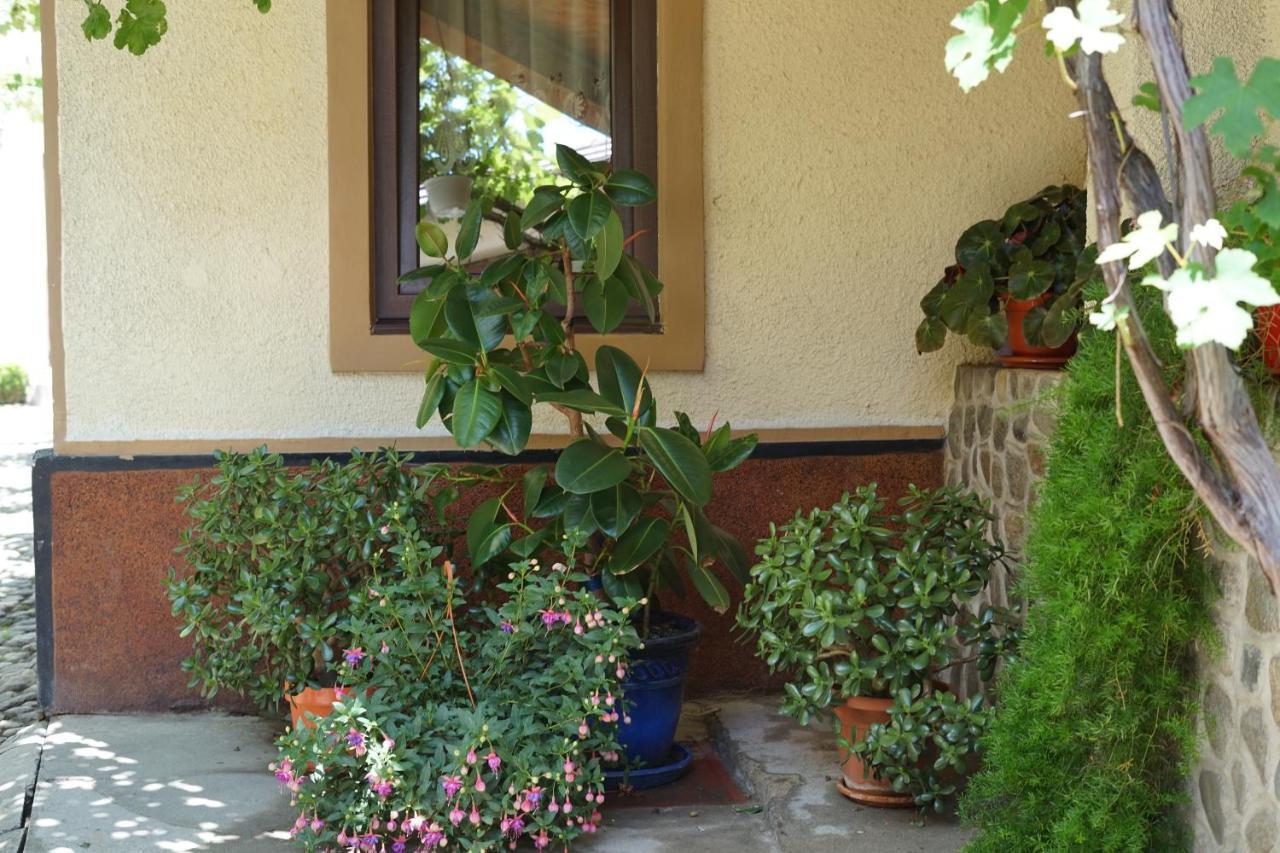 Casa Ciortea Ana Sibiel Dış mekan fotoğraf