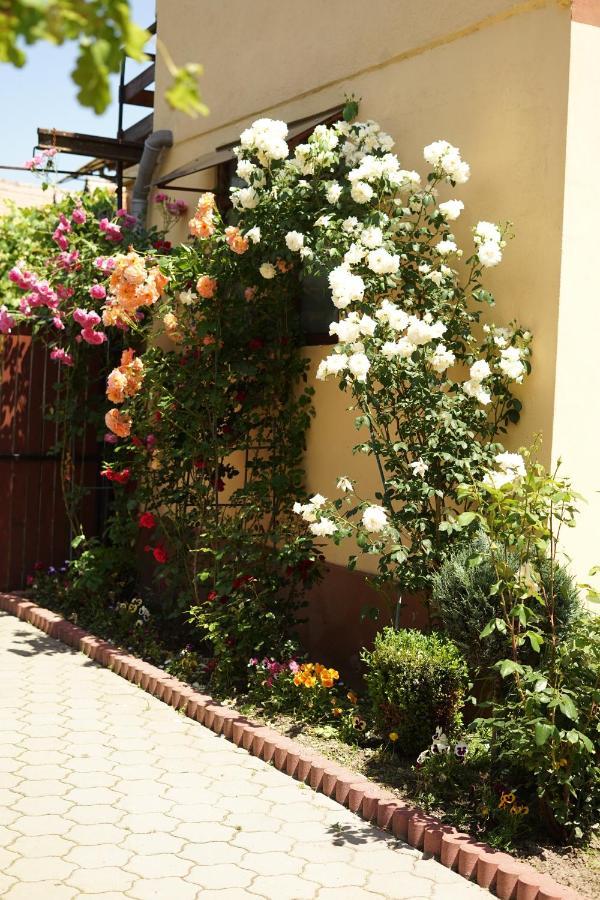 Casa Ciortea Ana Sibiel Dış mekan fotoğraf